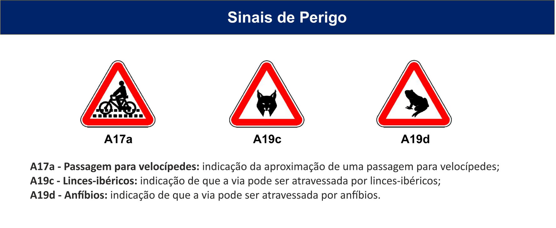 93226532 1140943462925591 6302710905964593152 o