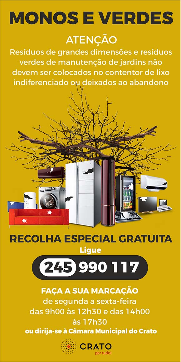 Folheto Monos e Verdes