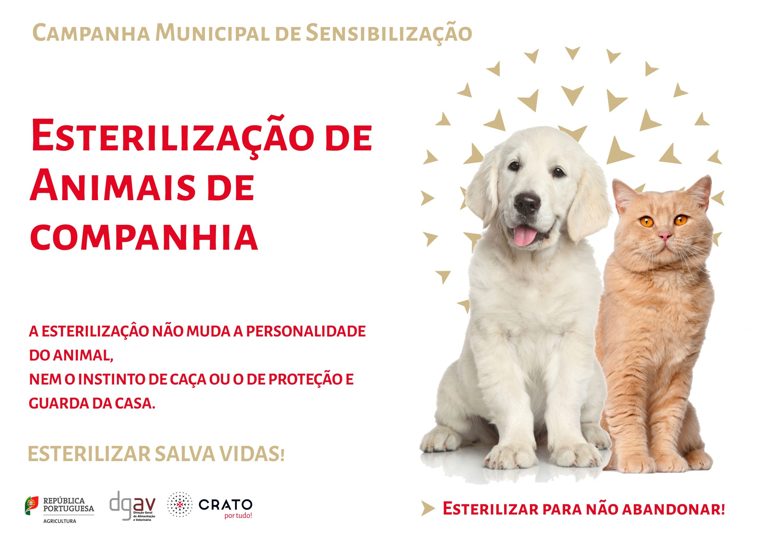 Flyer_Esterilizacao_-_Insta