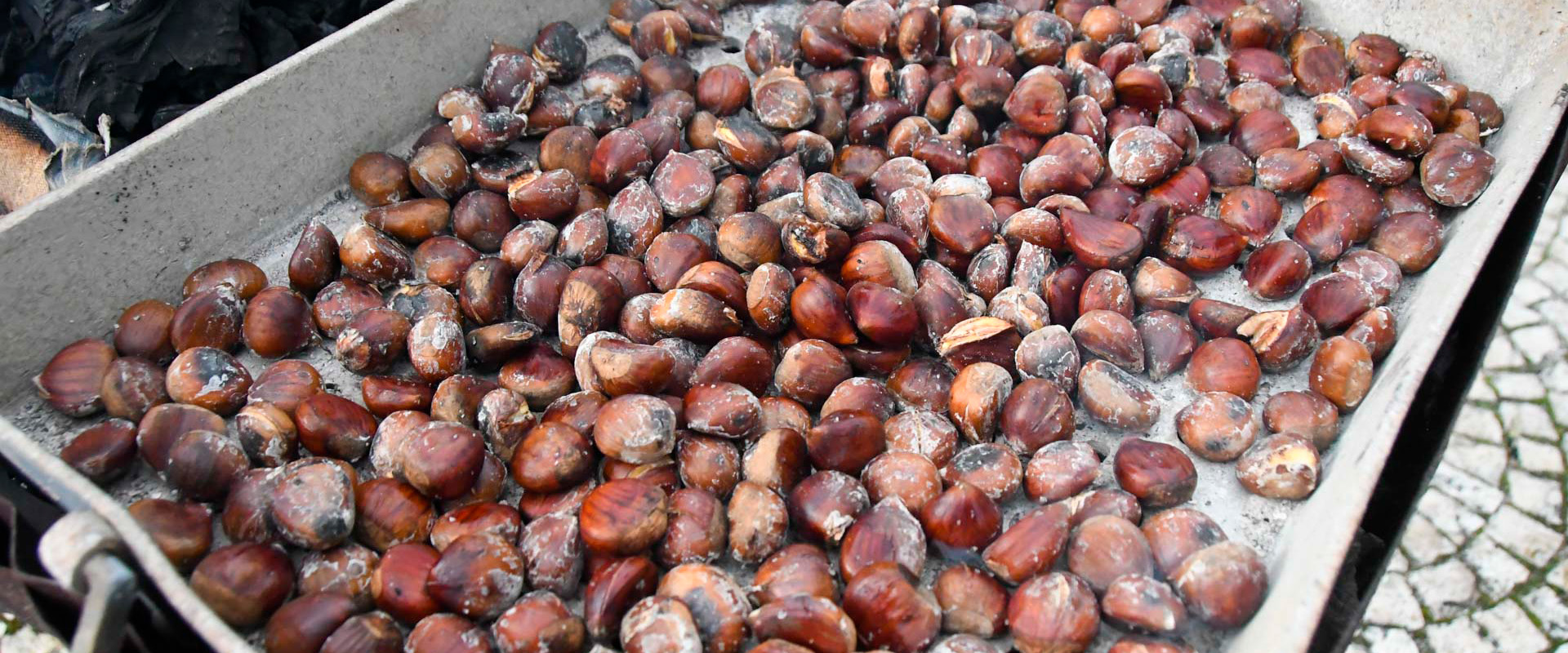 São Martinho celebrado no Crato