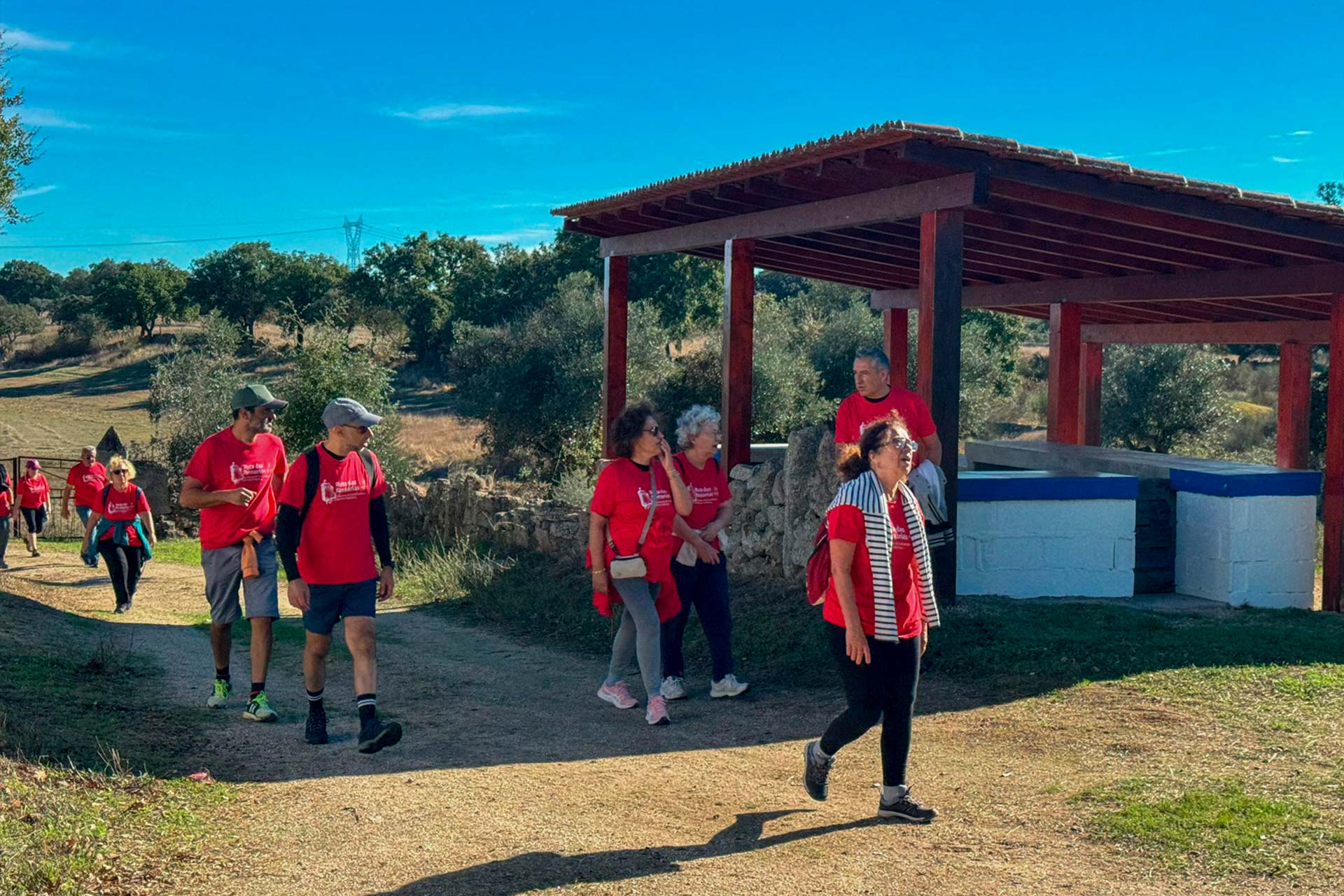 WhatsApp Image 2025-10-27 at 13.06.51 (1)