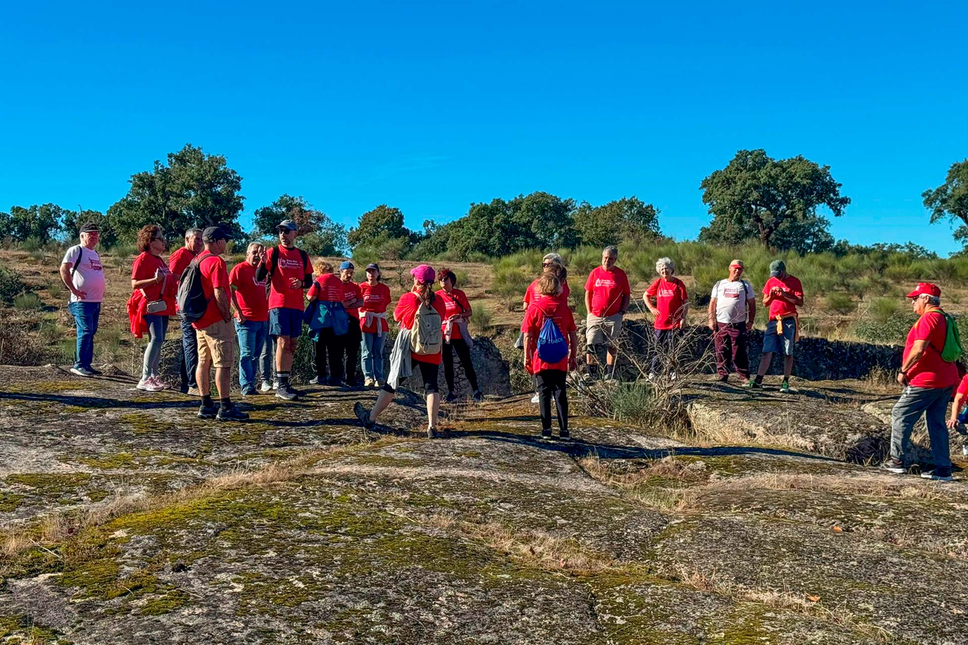 WhatsApp Image 2025-10-27 at 13.06.51 (3)