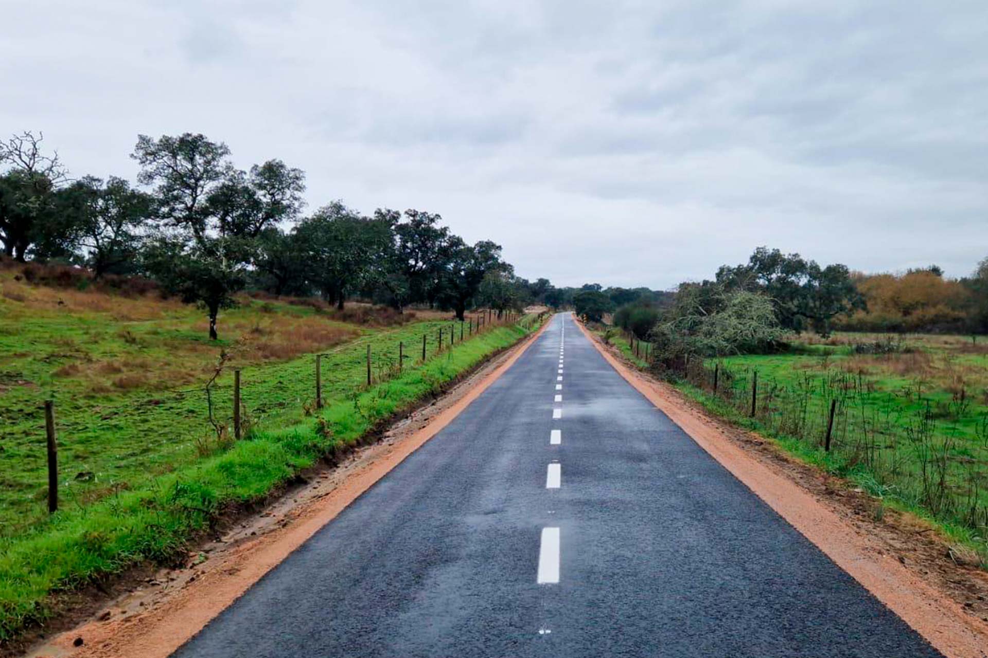 WhatsApp Image 2025-12-12 at 10.48.41