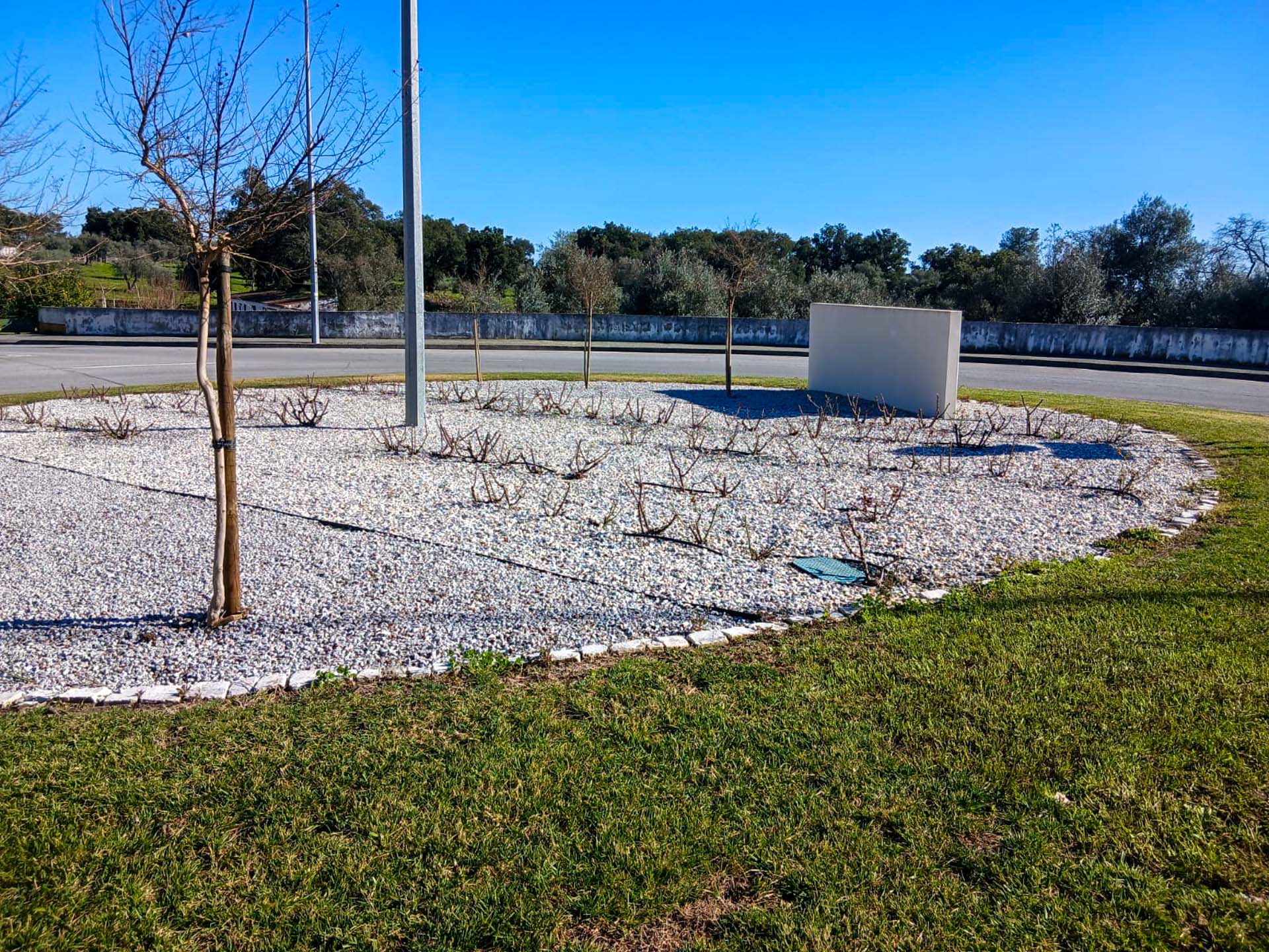 WhatsApp Image 2026-03-05 at 16.04.41 (2)