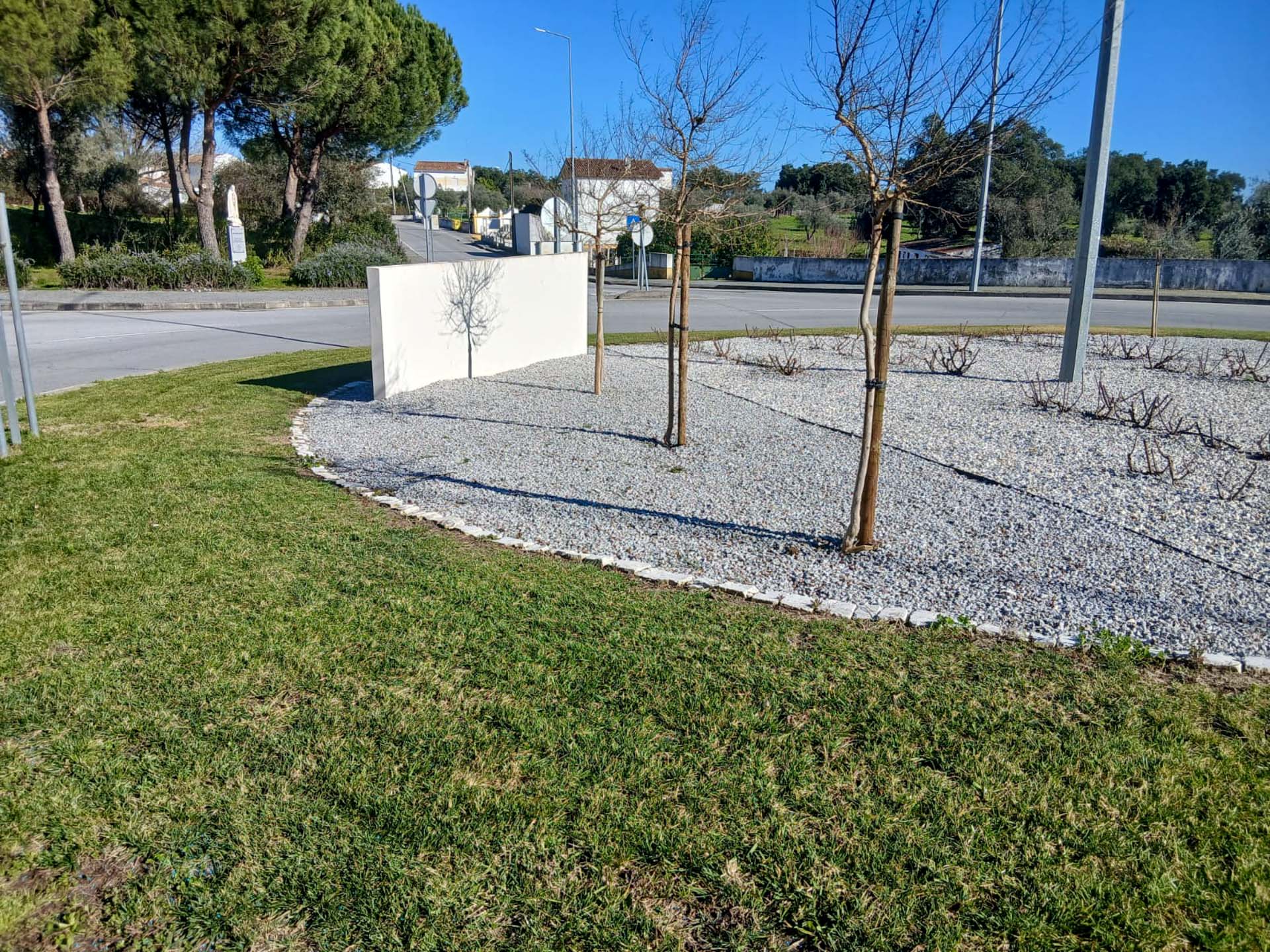 WhatsApp Image 2026-03-05 at 16.04.41 (4)