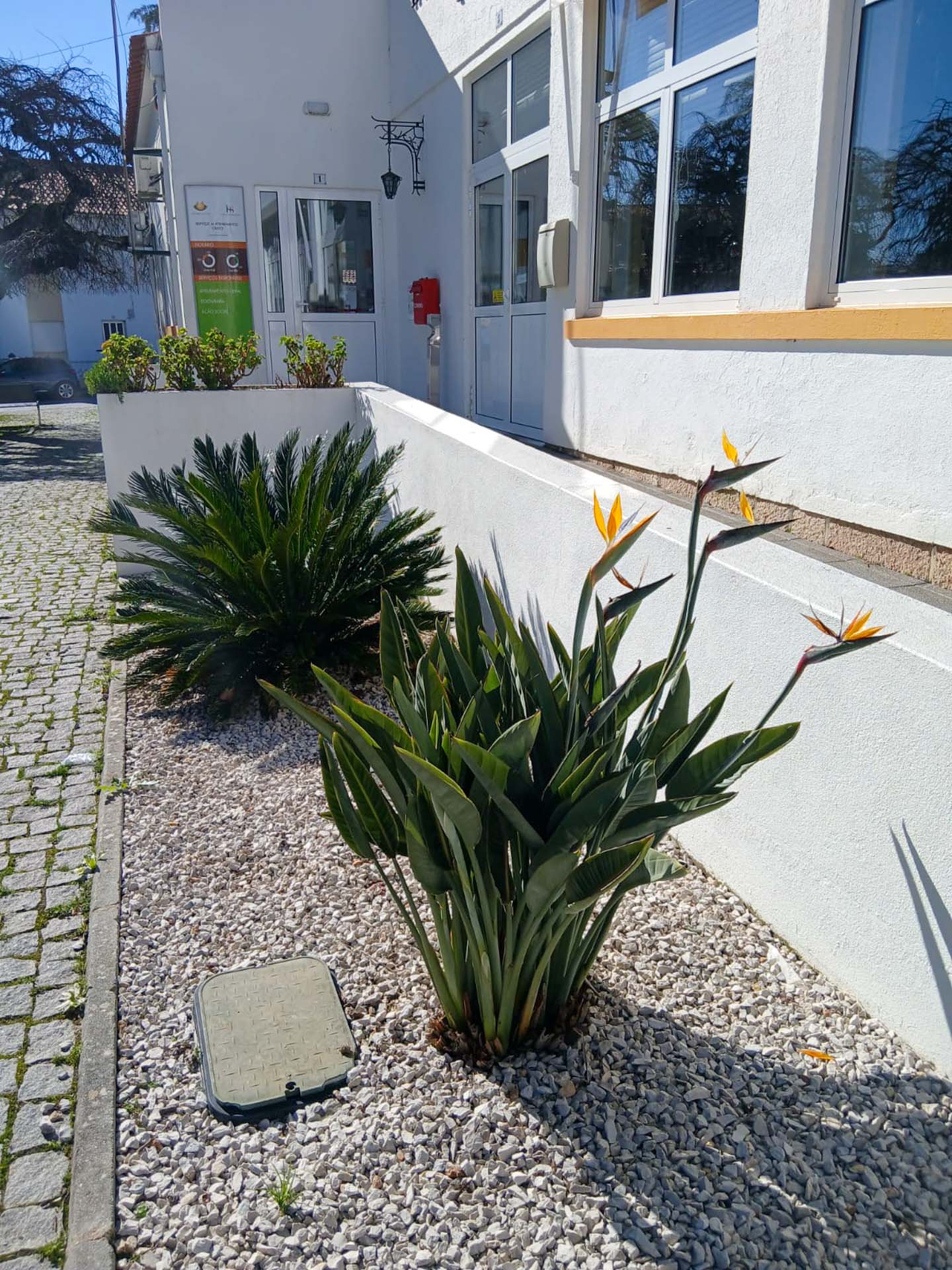 WhatsApp Image 2026-03-05 at 16.04.51 (4)