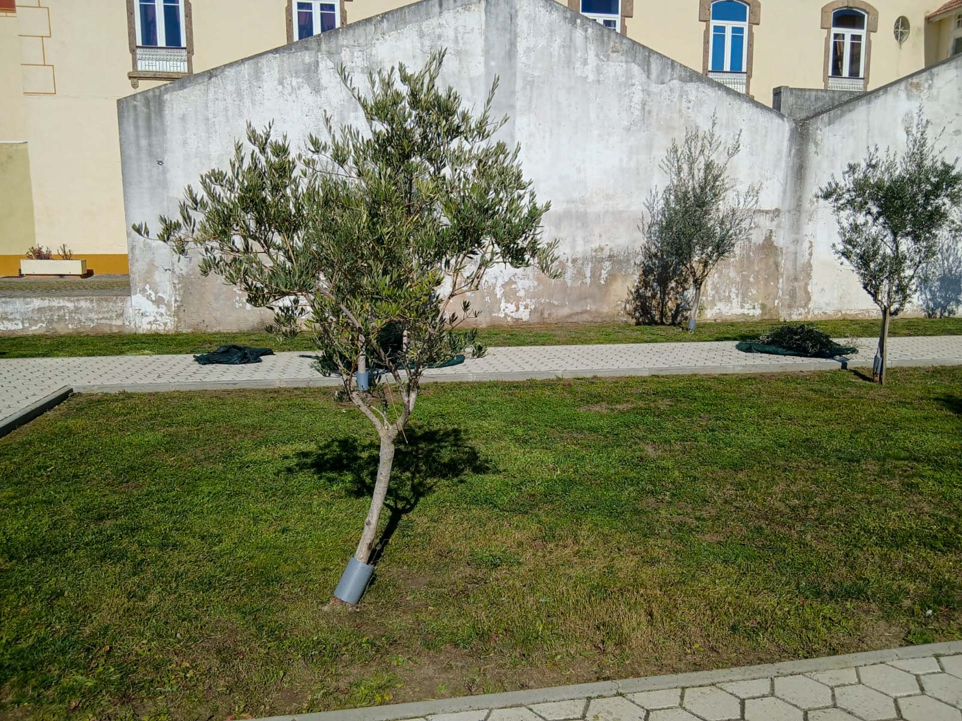 WhatsApp Image 2026-03-05 at 16.05.00 (1)