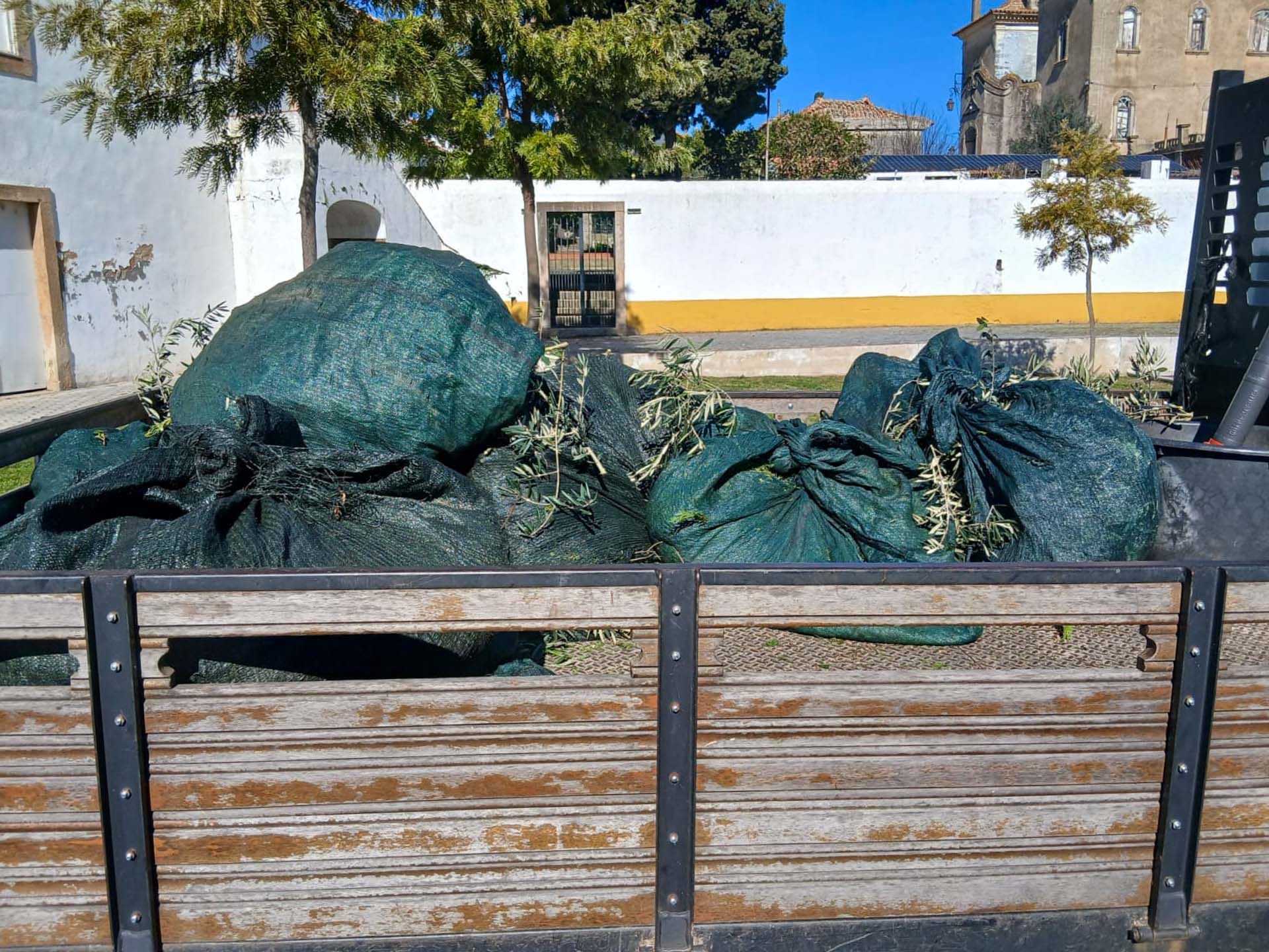 WhatsApp Image 2026-03-05 at 16.05.00 (5)