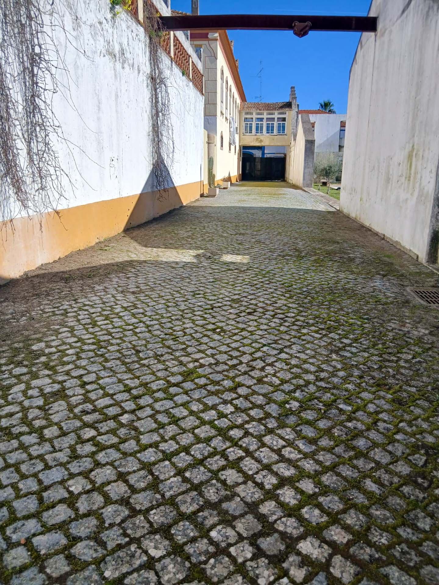 WhatsApp Image 2026-03-05 at 16.05.01 (2)