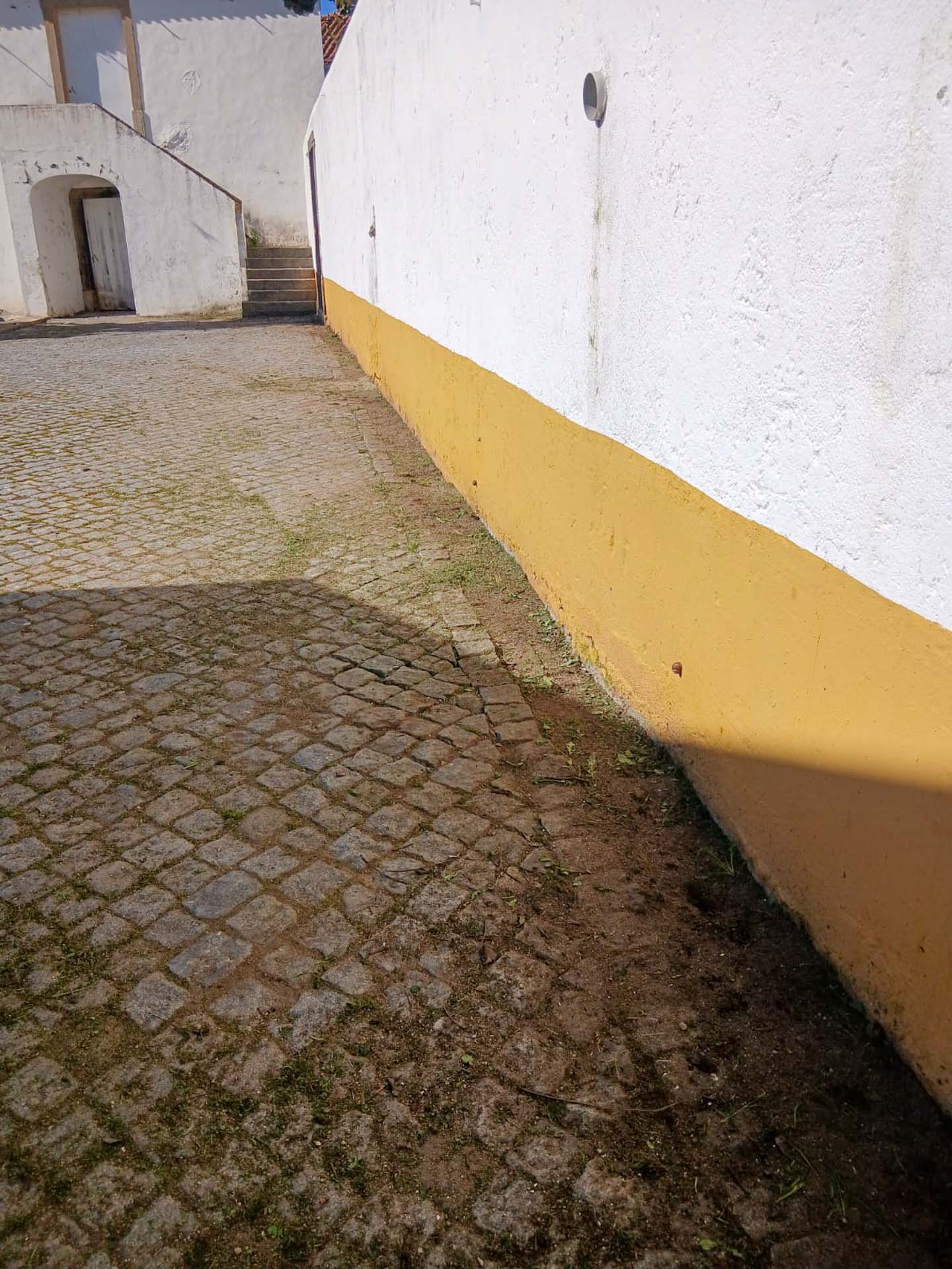 WhatsApp Image 2026-03-05 at 16.05.01 (6)