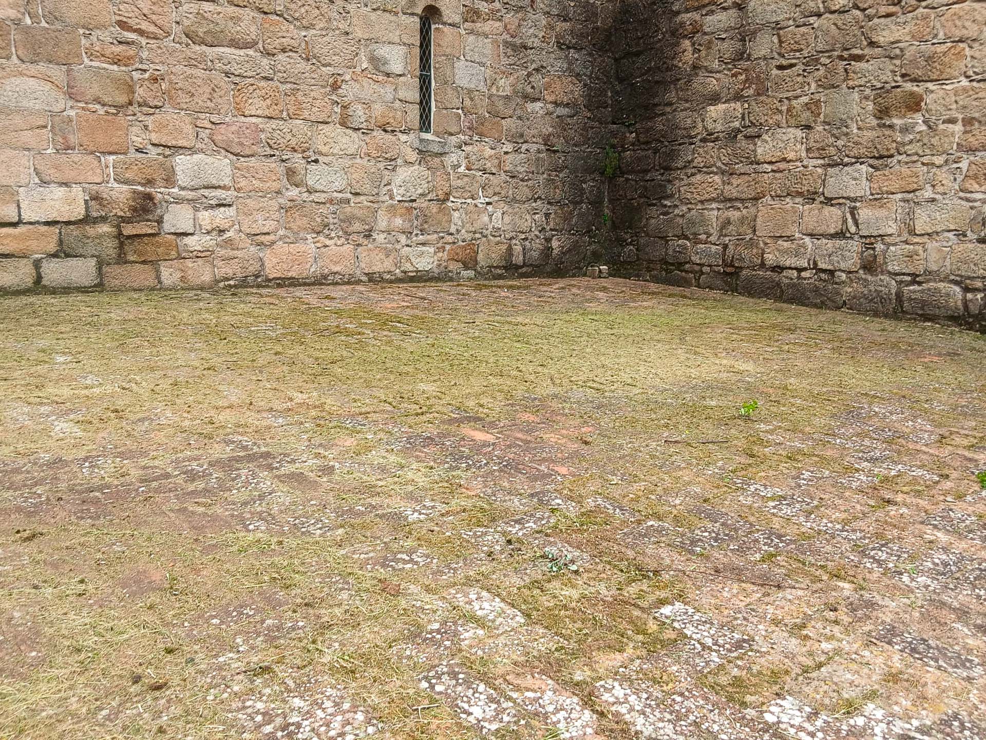 WhatsApp Image 2026-03-05 at 16.05.03 (2)