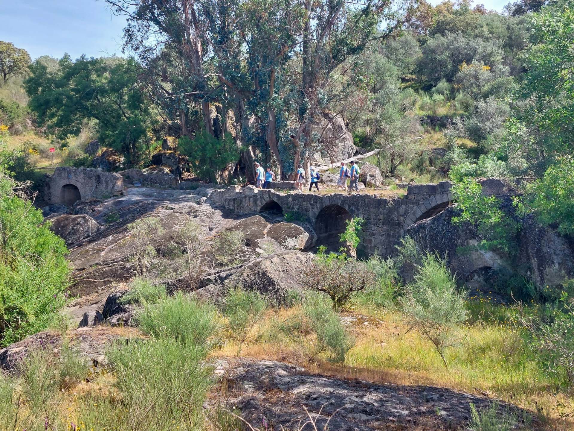 WhatsApp Image 2026-04-19 at 15.50.15